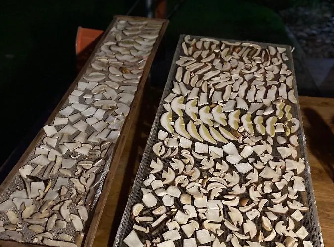 Simihouse 펜션 노바바냐