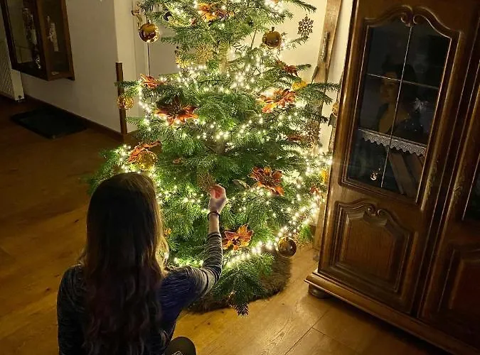 Simihouse * 노바바냐